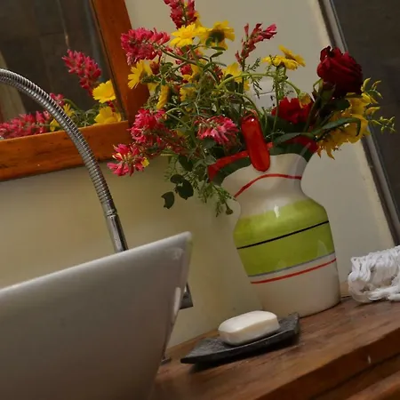 Chapo Κατάνια