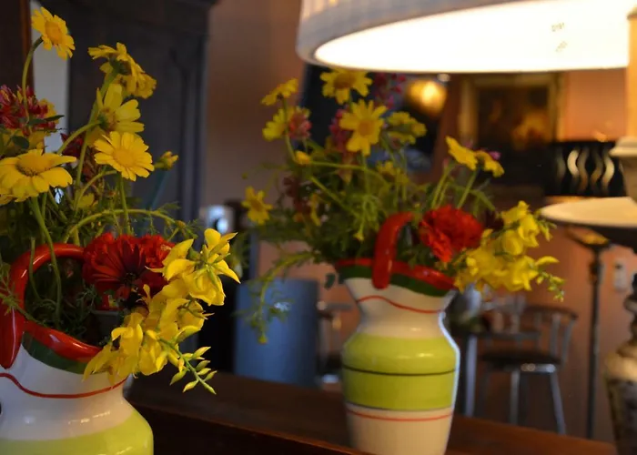 Oda ve Kahvaltı Chapo *